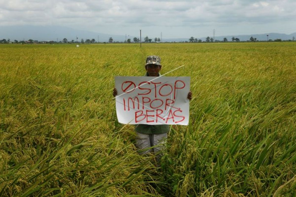 Petani tolak impor beras
