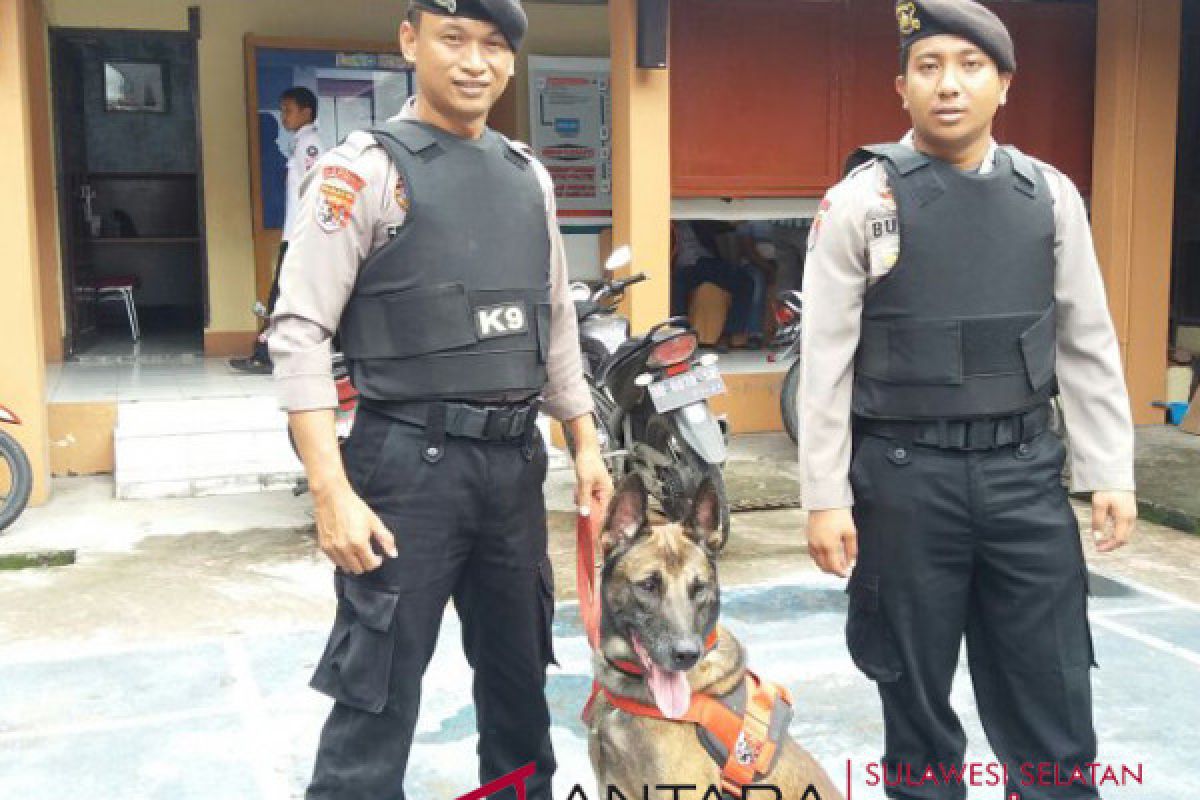 Tim anjing pelacak dikerahkan di lokasi ledakan