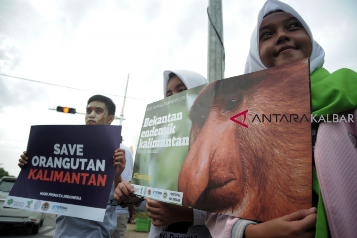 Sekitar 90 persen orangutan berada di luar hutan lindung