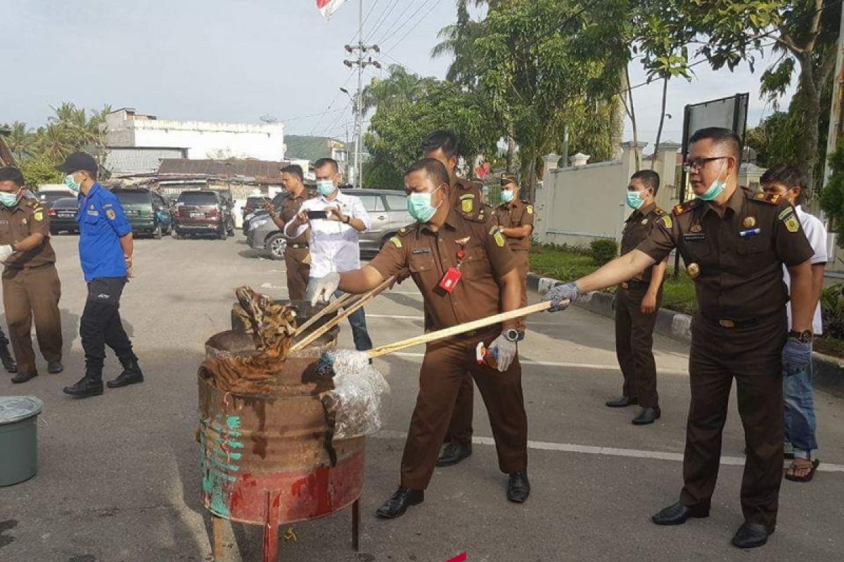 Kejari Solok Musnahkan Barang Bukti Kulit Harimau Sitaan dari Penyeludup Satwa Langka