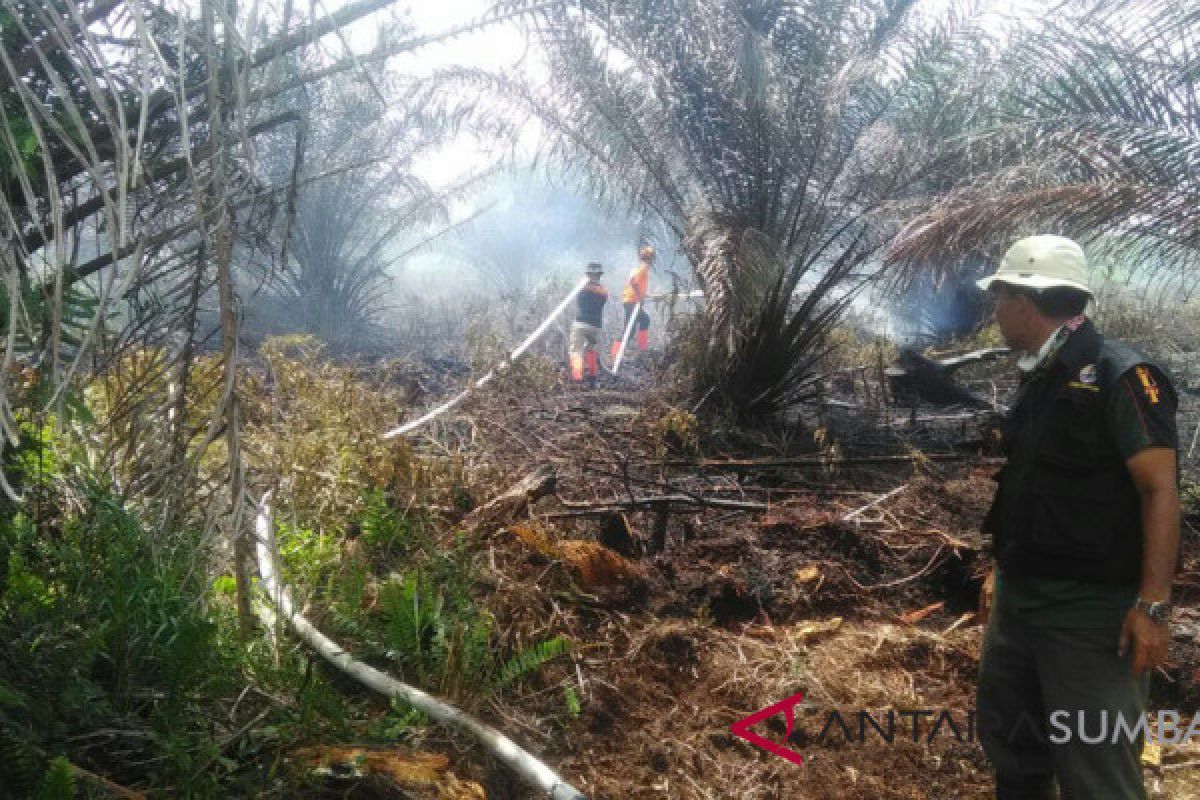 Lahan perkebunan kelapa sawit di Agam terbakar