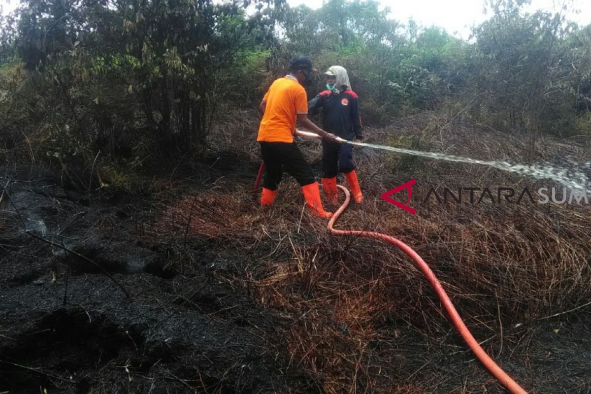 Kebakaran lahan perkebunan sawit di Agam kian meluas