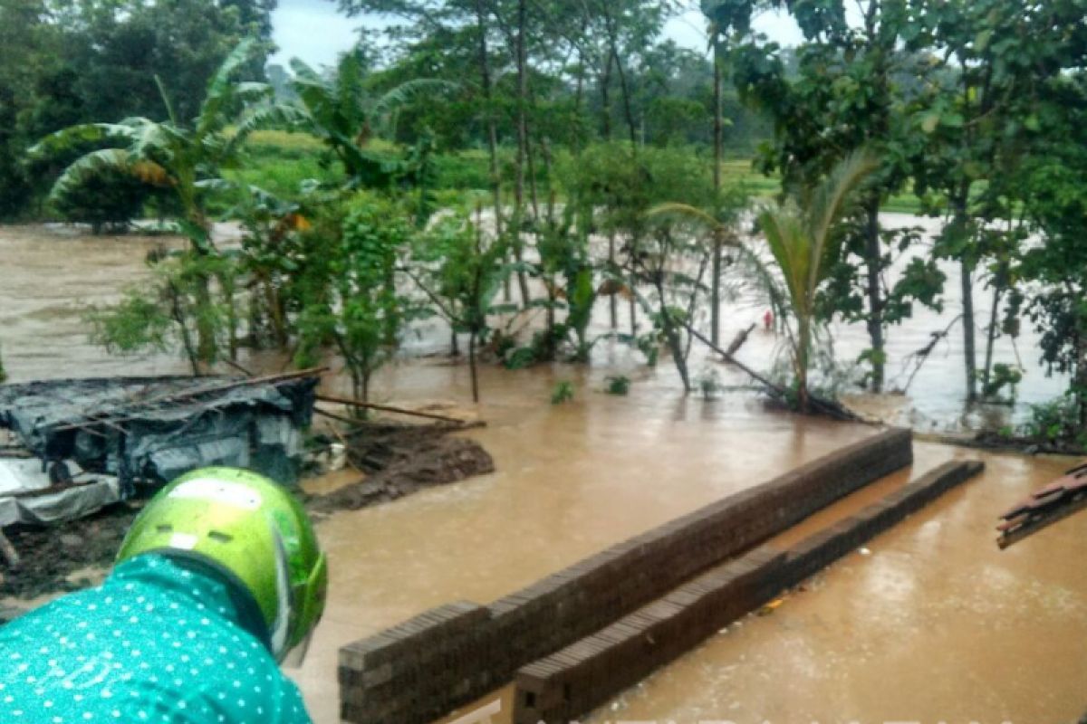 Puluhan Hektare Sawah di Bondowoso Terendam Banjir