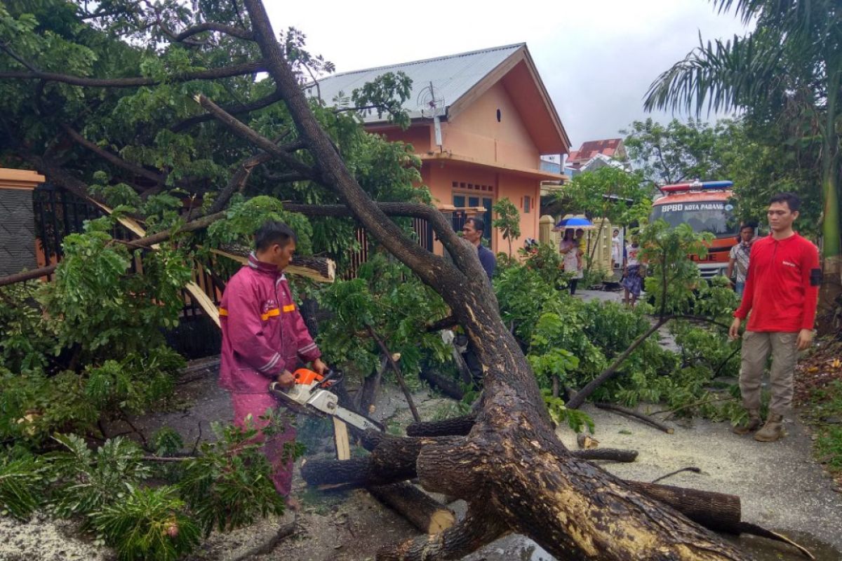 BPBD Padang imbau warga waspadai cuaca ekstrem berupa hujan disertai angin kencang