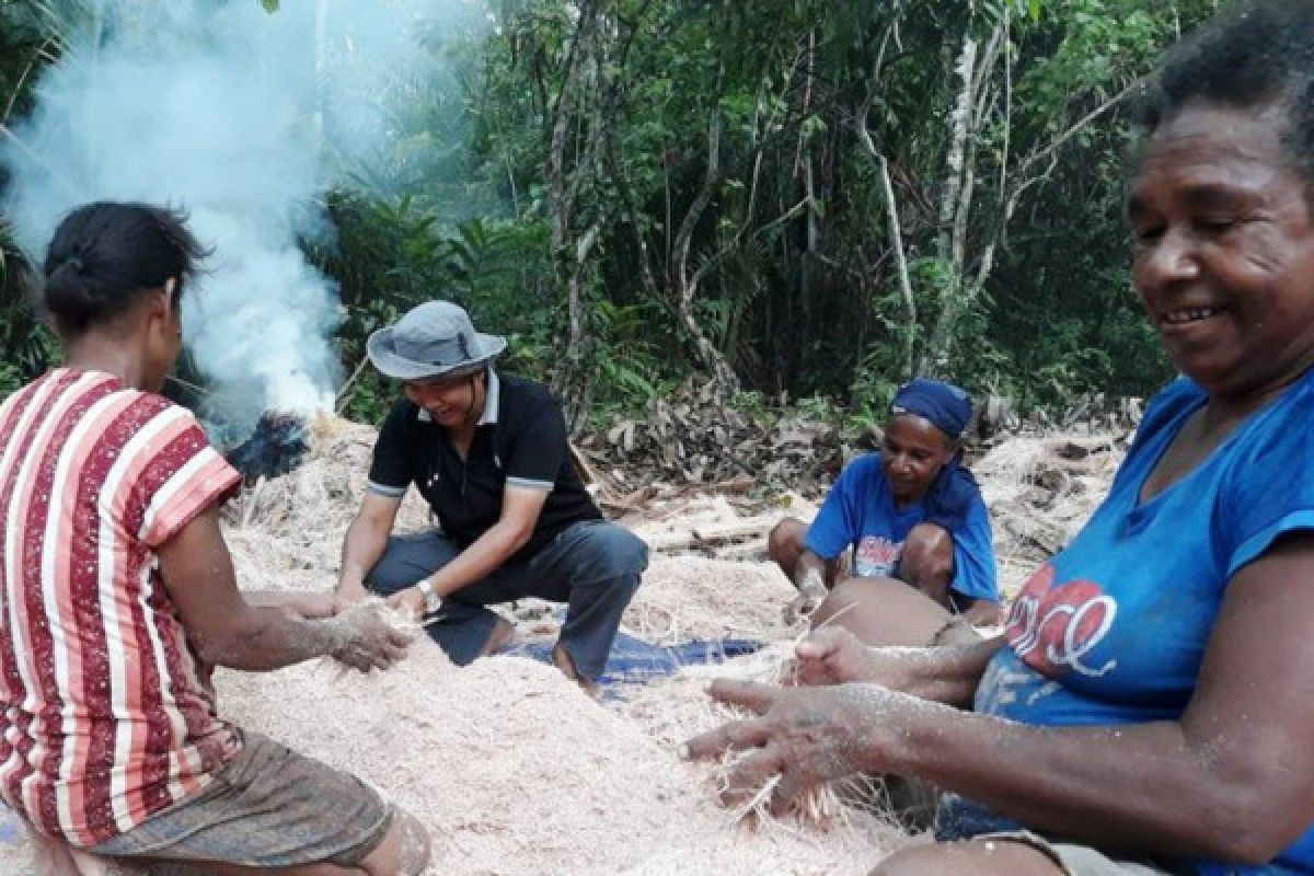 Sagu, raksasa pangan lokal yang belum dibangunkan