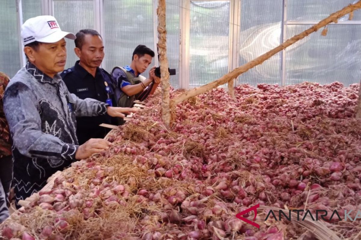 Tapin onion ready to export to Asean