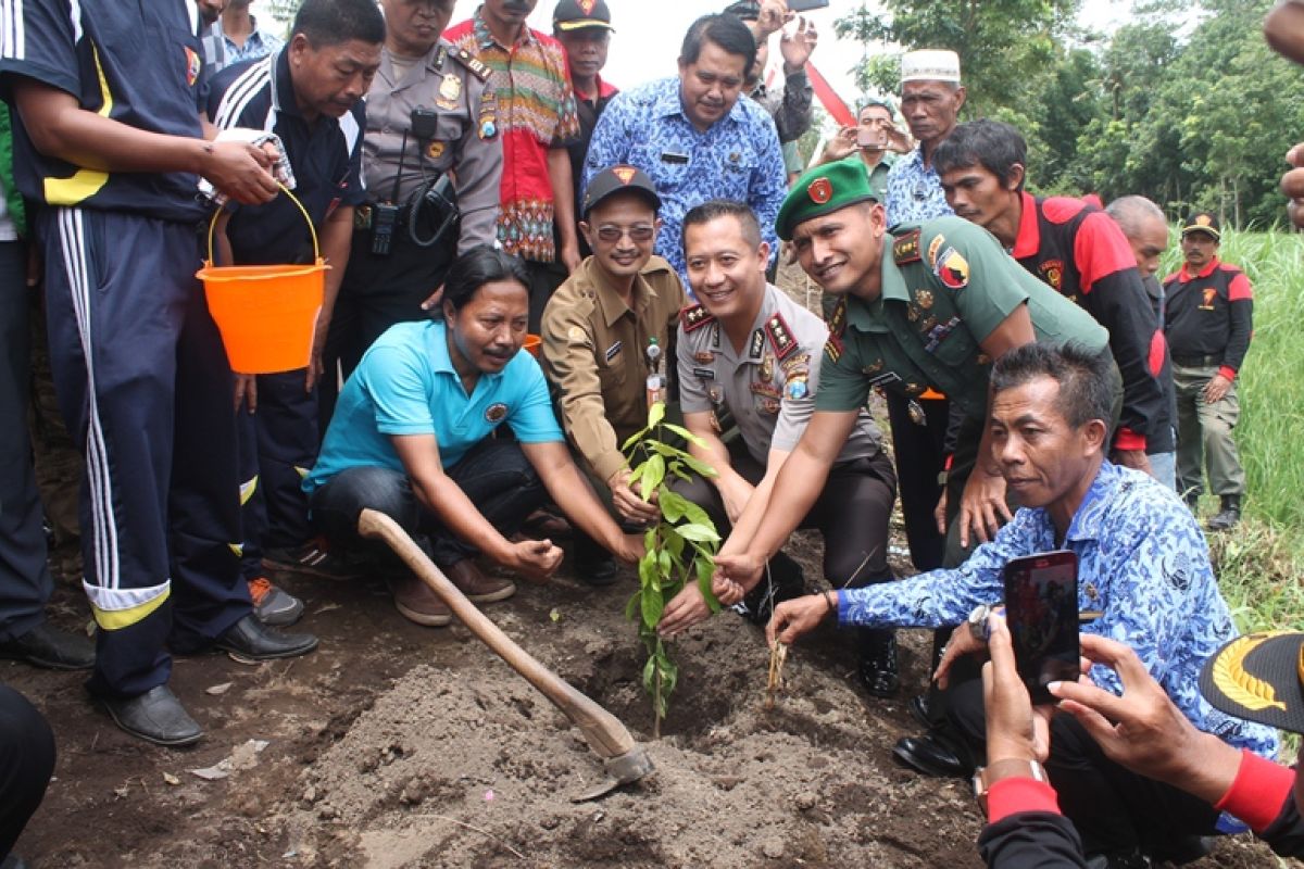 Rawan Longsor, Forkopimda Jember Tanam 1.000 Pohon