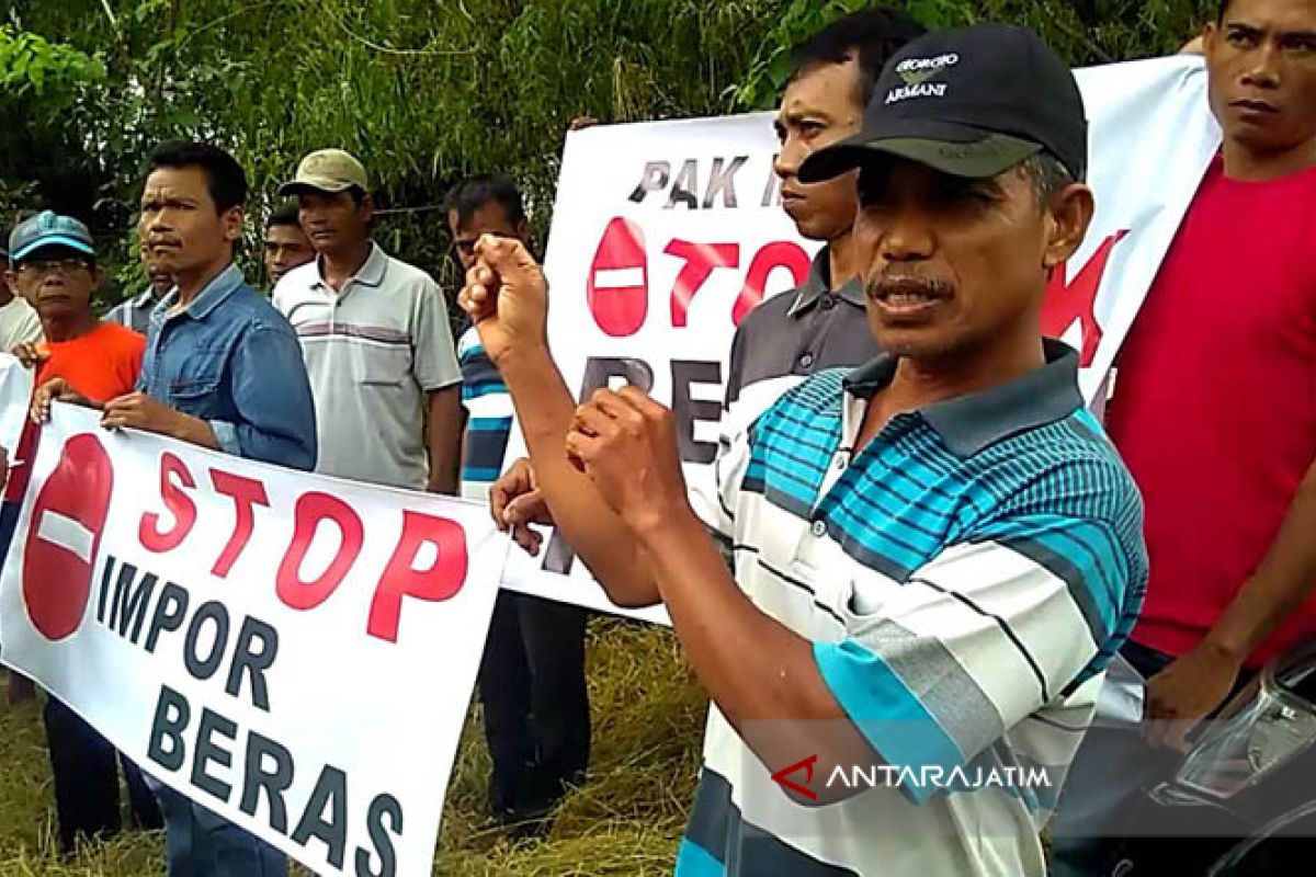 Pemerintah Harus Tinjau Ulang Impor Beras (Video)