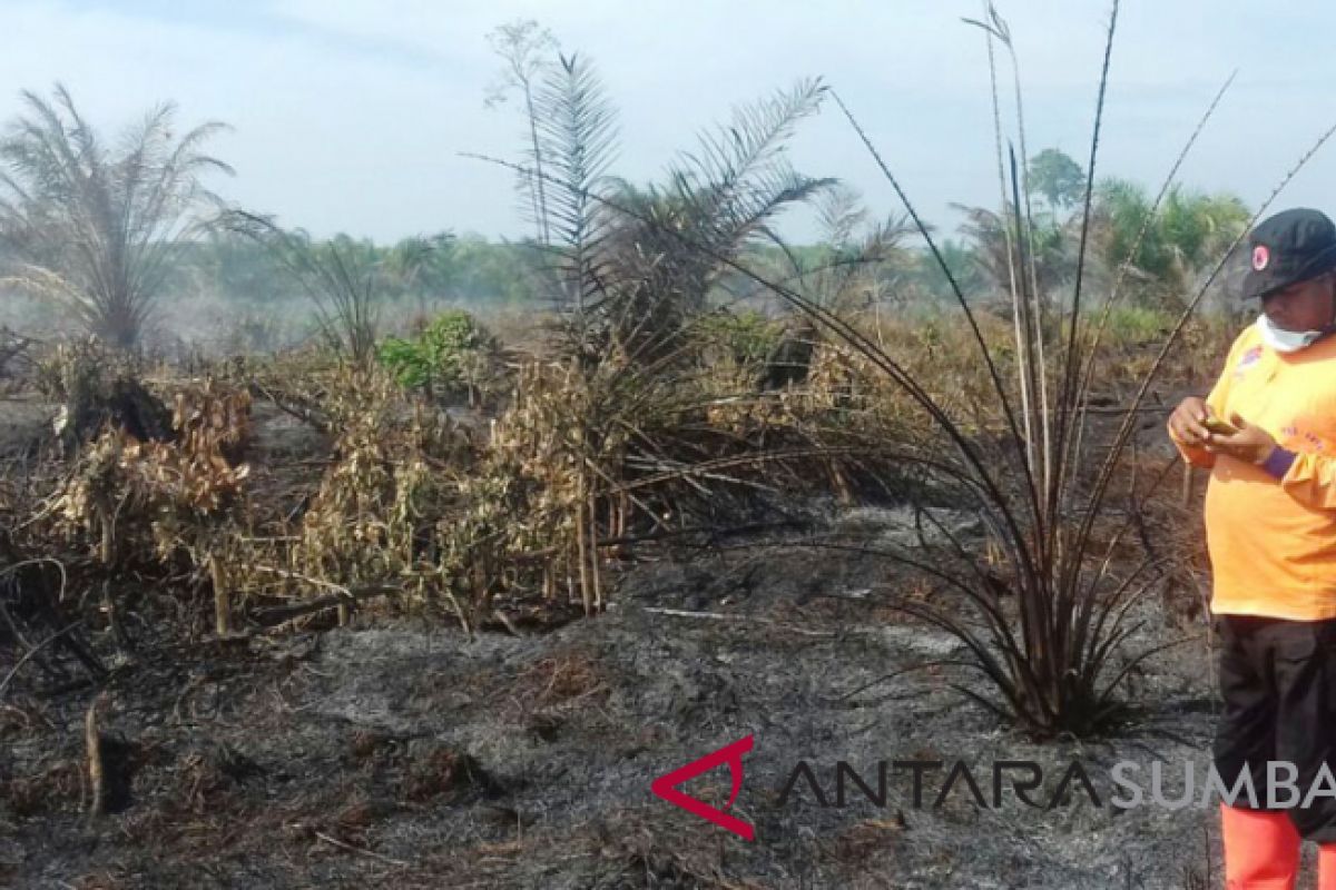 Upaya pemadaman kebakaran perkebunan sawit di Agam terkendala lokasi