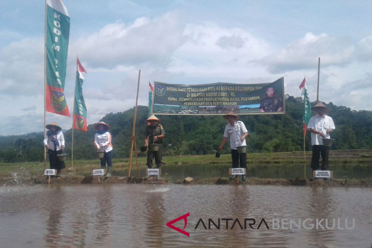 Kodim Rejang Lebong perkenalkan Bios-44 ke petani