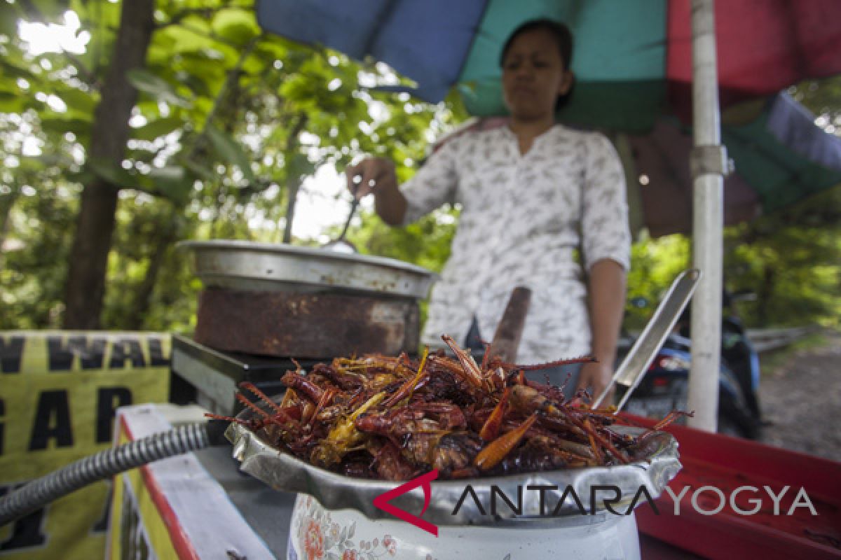 Yogyakarta dorong  pembentukan kelompok kuliner kelurahan