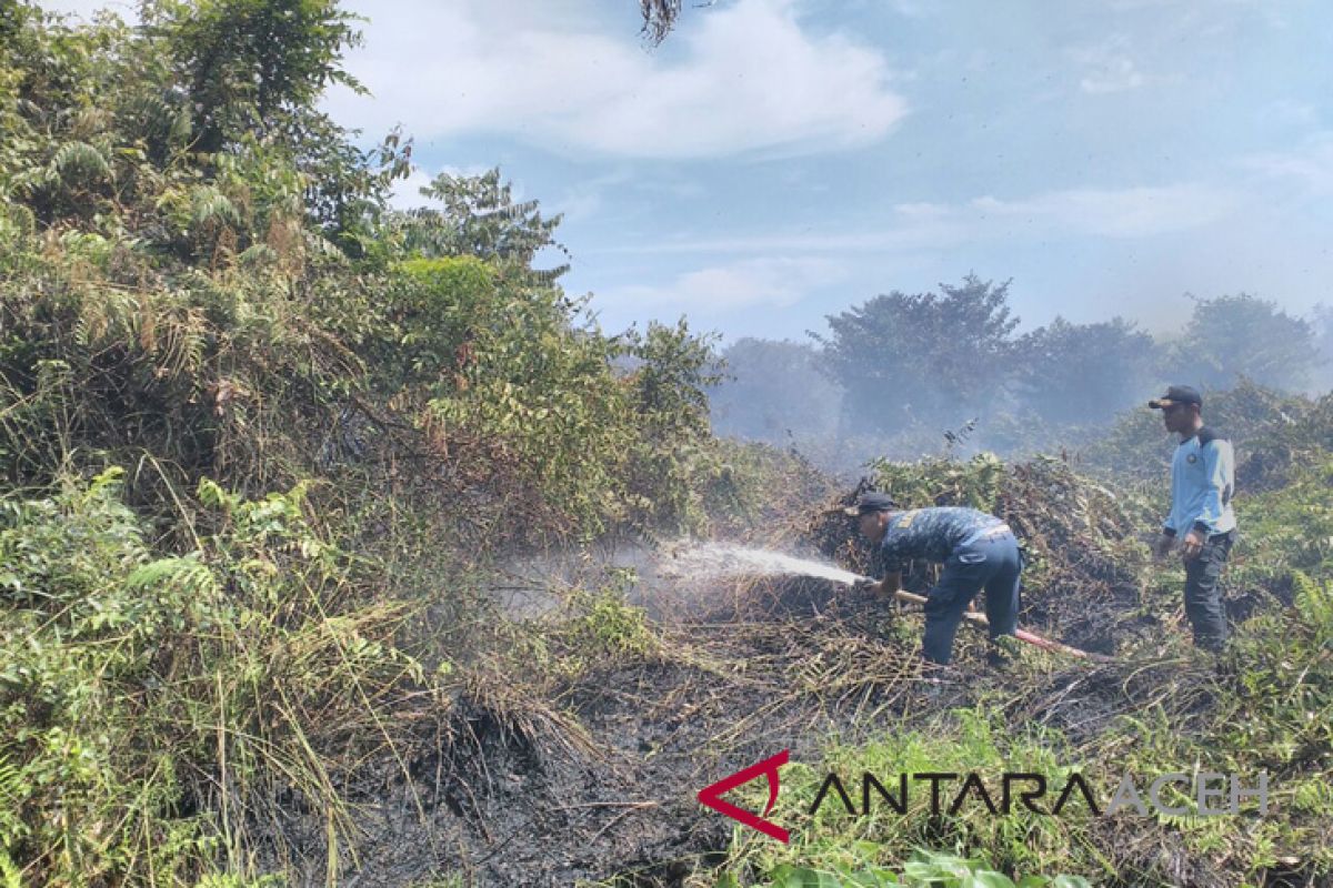 Dua hektare lahan rumbia terbakar di Aceh Besar