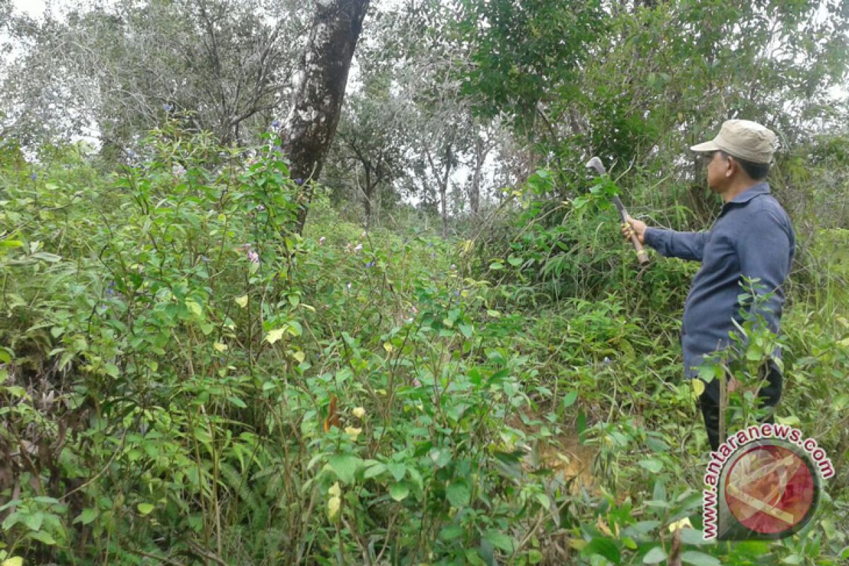 Warga Nagan Raya tuding lahan dikuasai perusahaan