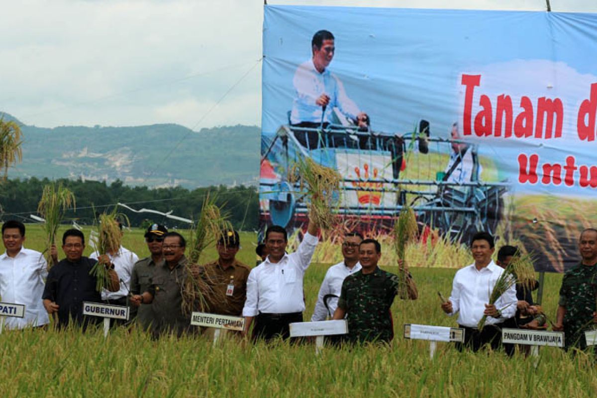 1.345 Hektare Padi di Lahan Banjir Bojonegoro Panen