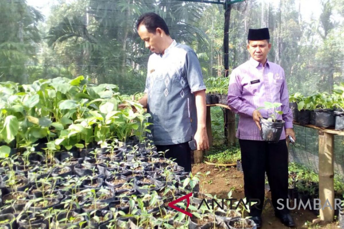 Bibit tanaman dan ternak jadi solusi, Agam dorong ketahanan pangan berbasis masyarakat