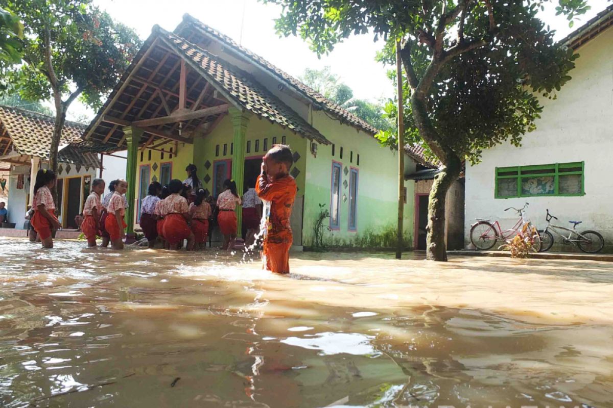 Intensitas Hujan Tinggi, Ratusan Rumah Jember Terendam Banjir (Video)