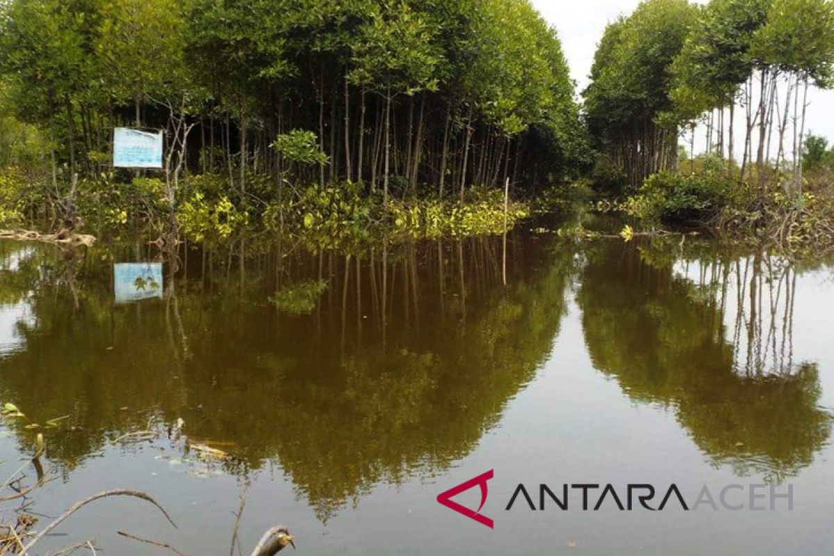 Bale Jurong selamatkan puluhan hektare mangrove