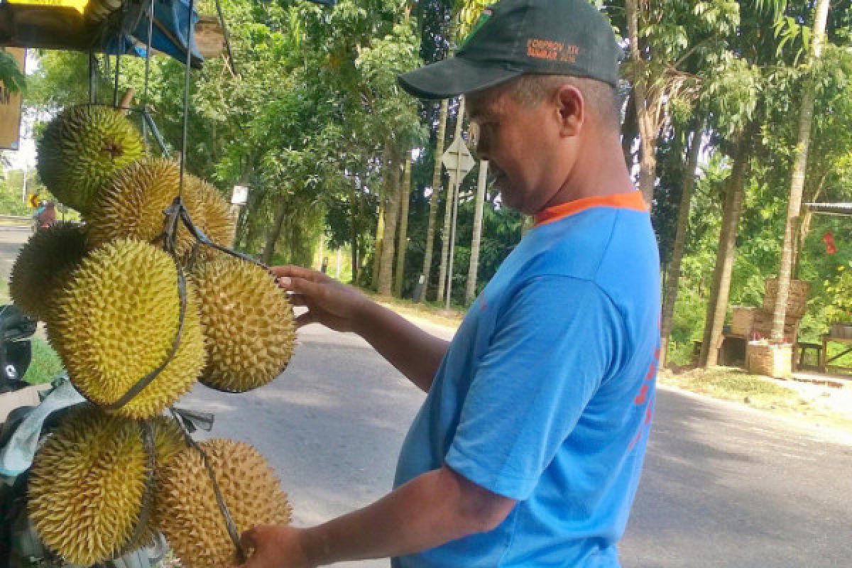 Tidak hanya Sumbar,  durian juga banjiri Kalimantan