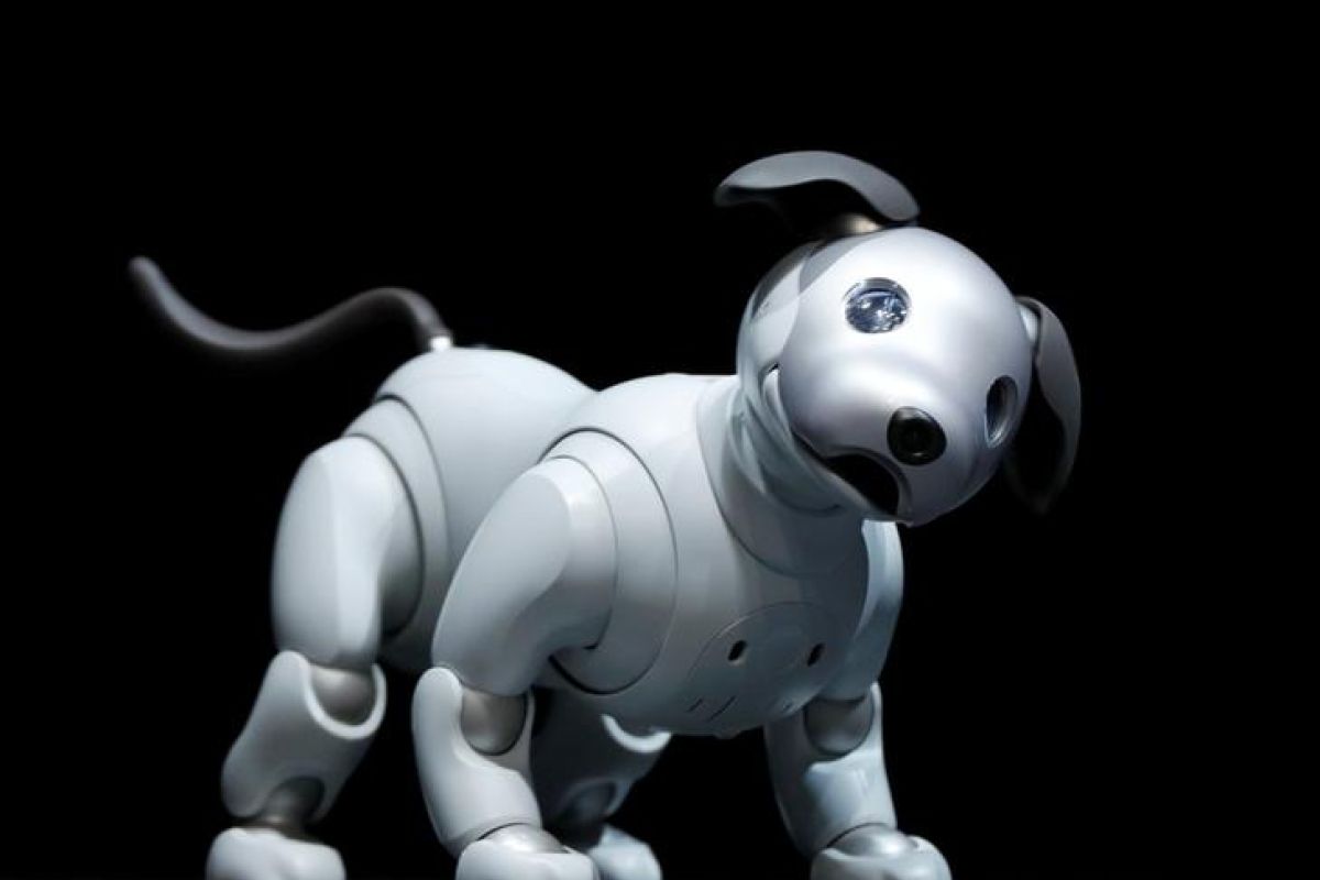 Robot anjing Aibo kembali hadir