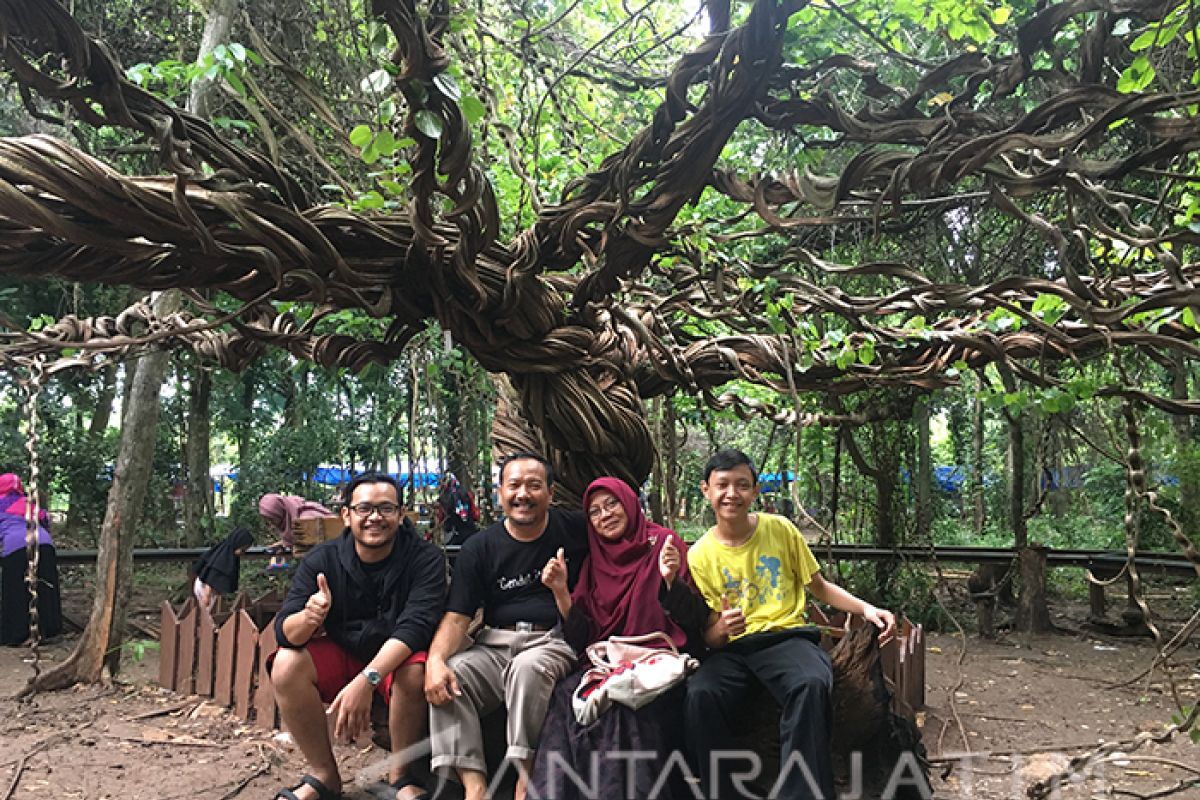 Uniknya Wisata Akar Langit di Lamongan (Video)