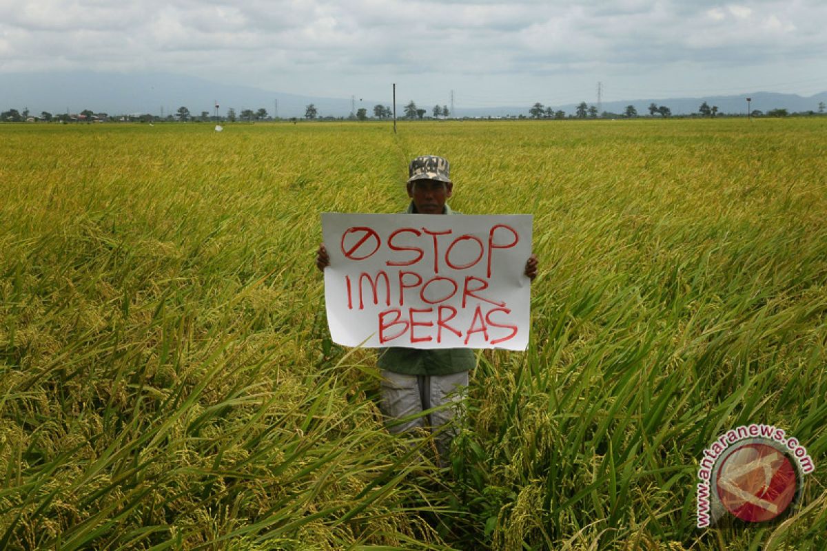Fadli Zon kritik kebijakan impor beras