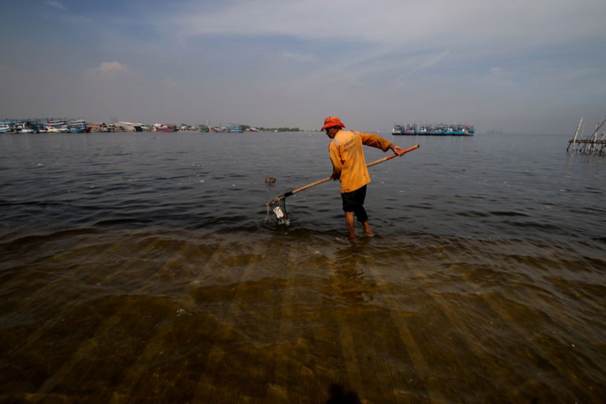 Banjir Rob Muara Angke - ANTARA News