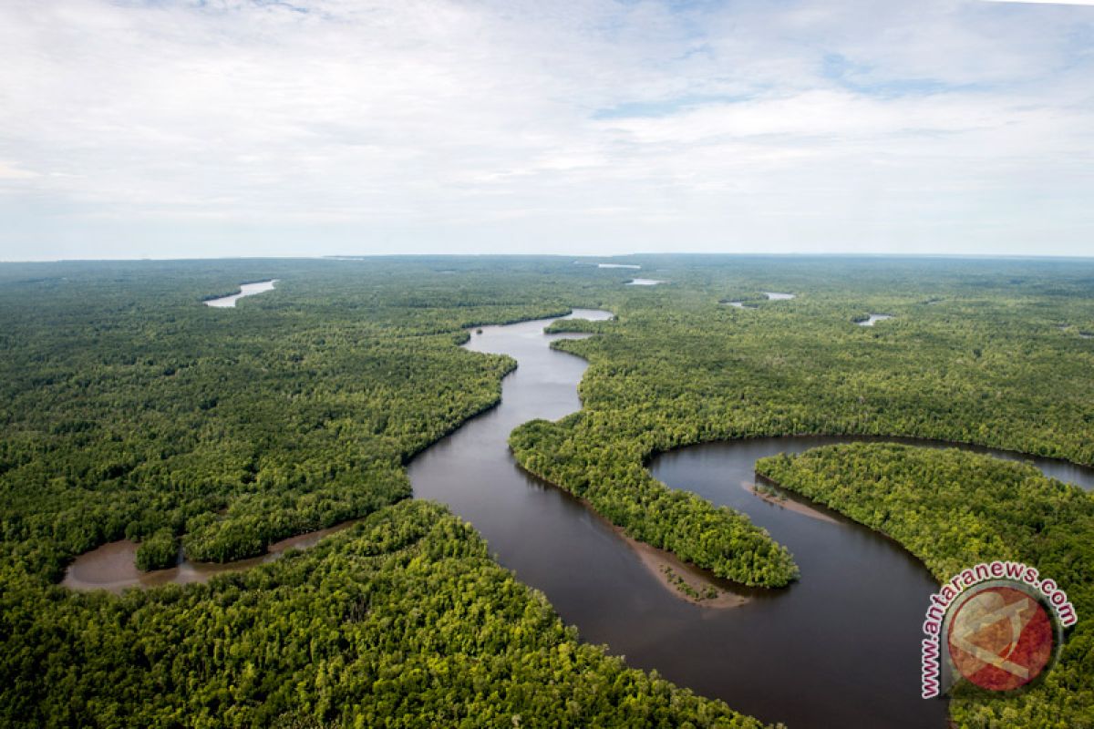 KLHK sebut bioenergi berbasis hutan potensial dikembangkan