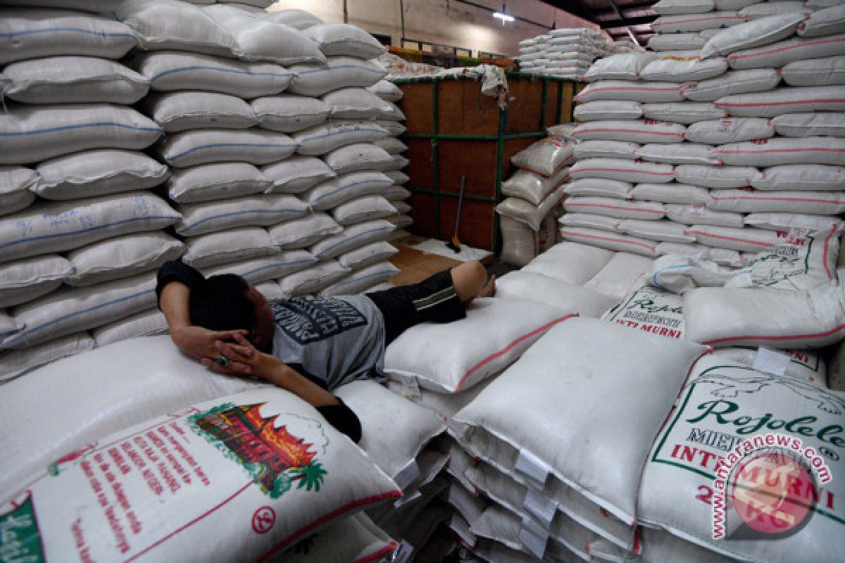 Indonesia starts processing rice imports to stabilize prices