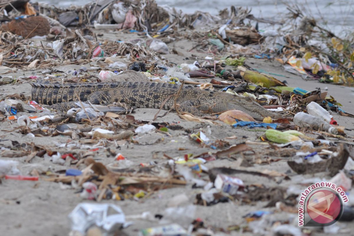 Padang operasikan kapal bersihkan sampah di muara