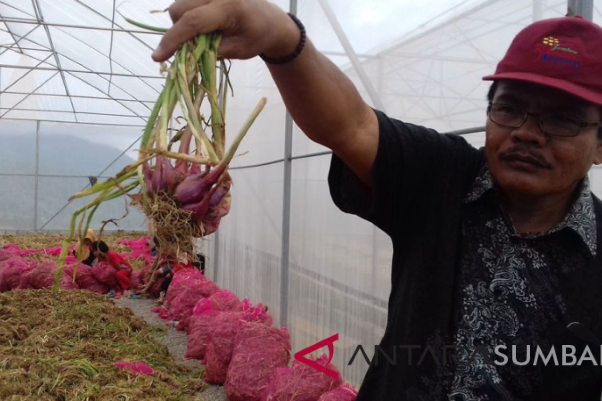Harga bawang merah di Pasar Flamboyan merangkak naik