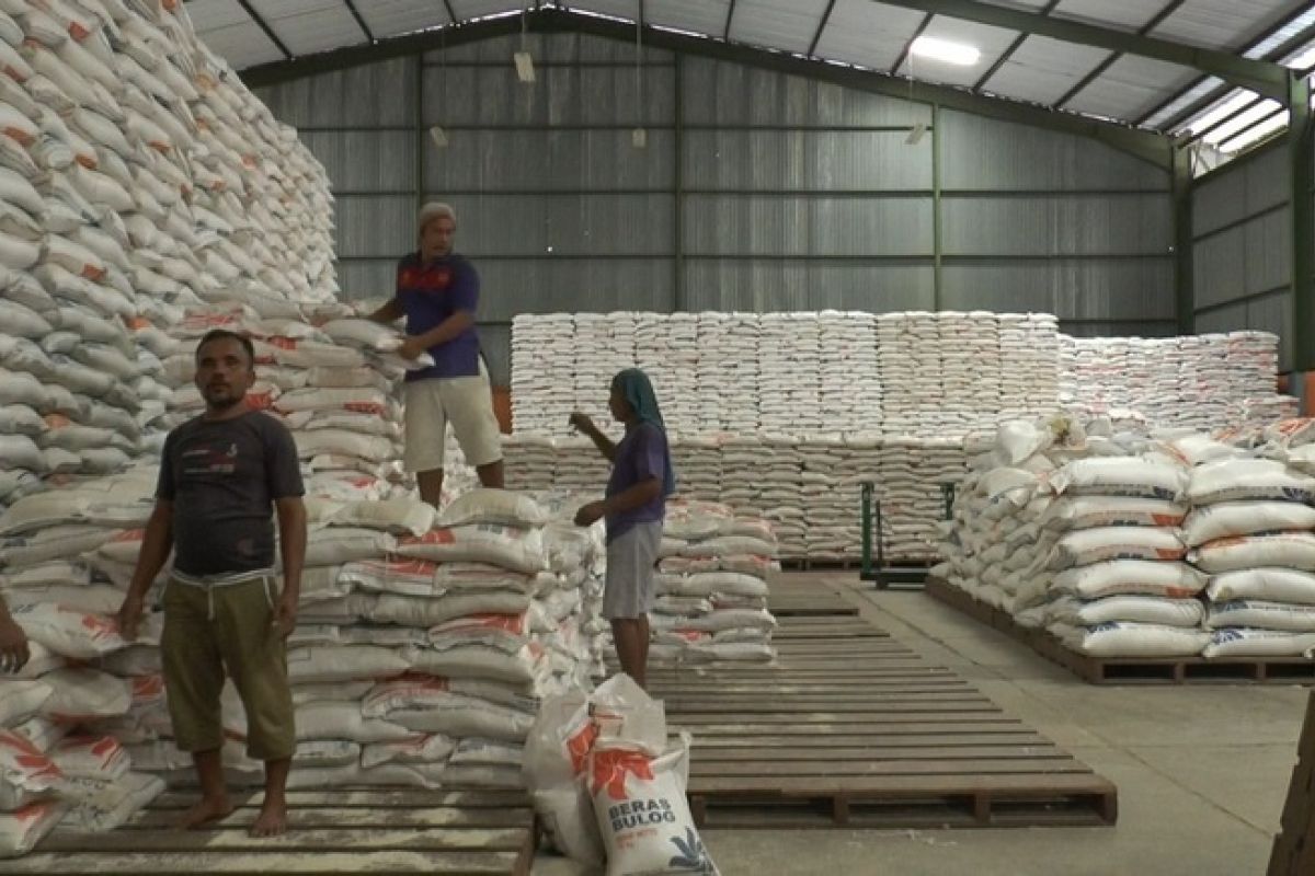 Bulog Sulteng kerahkan puluhan buruh di gudang