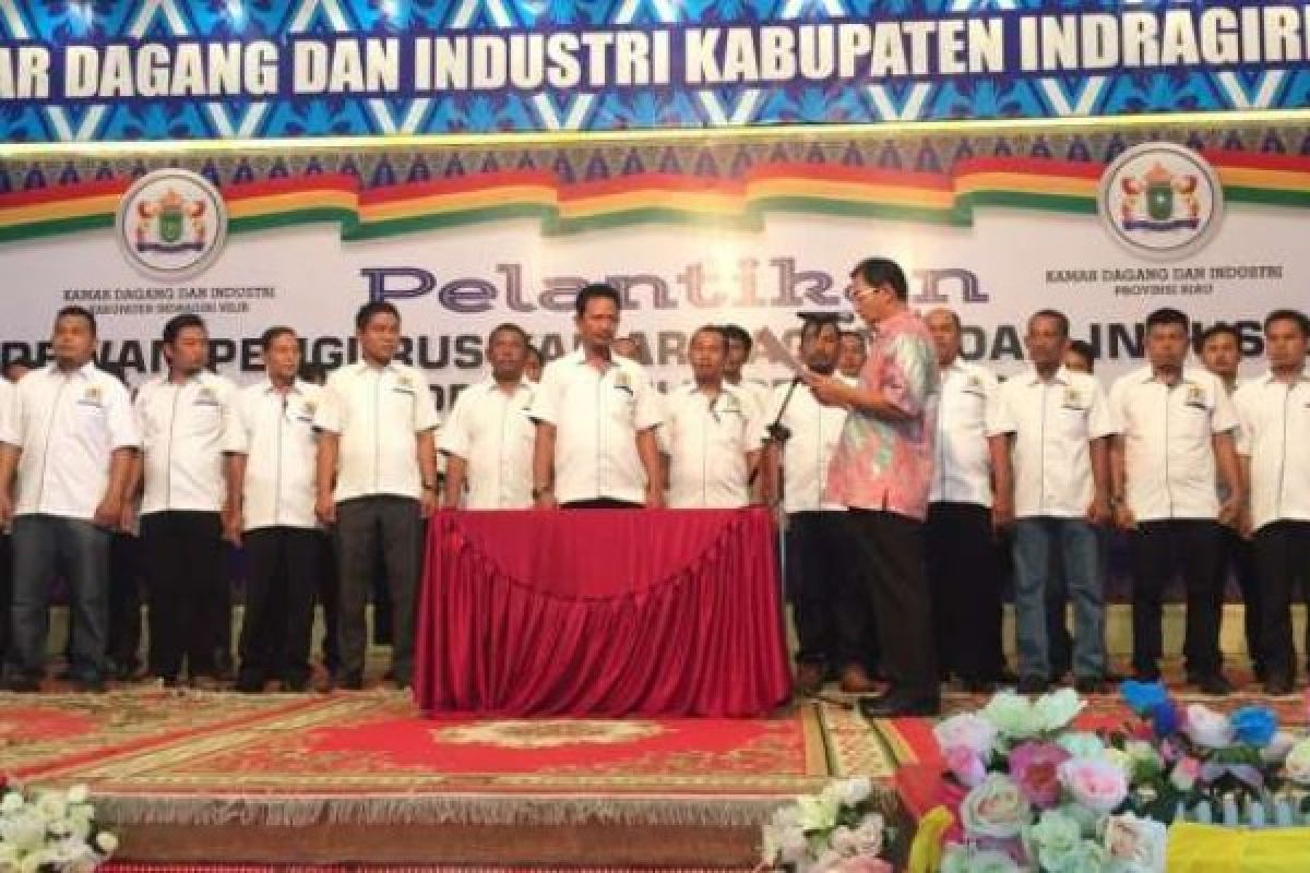 Dihadiri Gubernur Riau, Kepengurusan Kadin Inhil Resmi Dilantik Juni Rachman