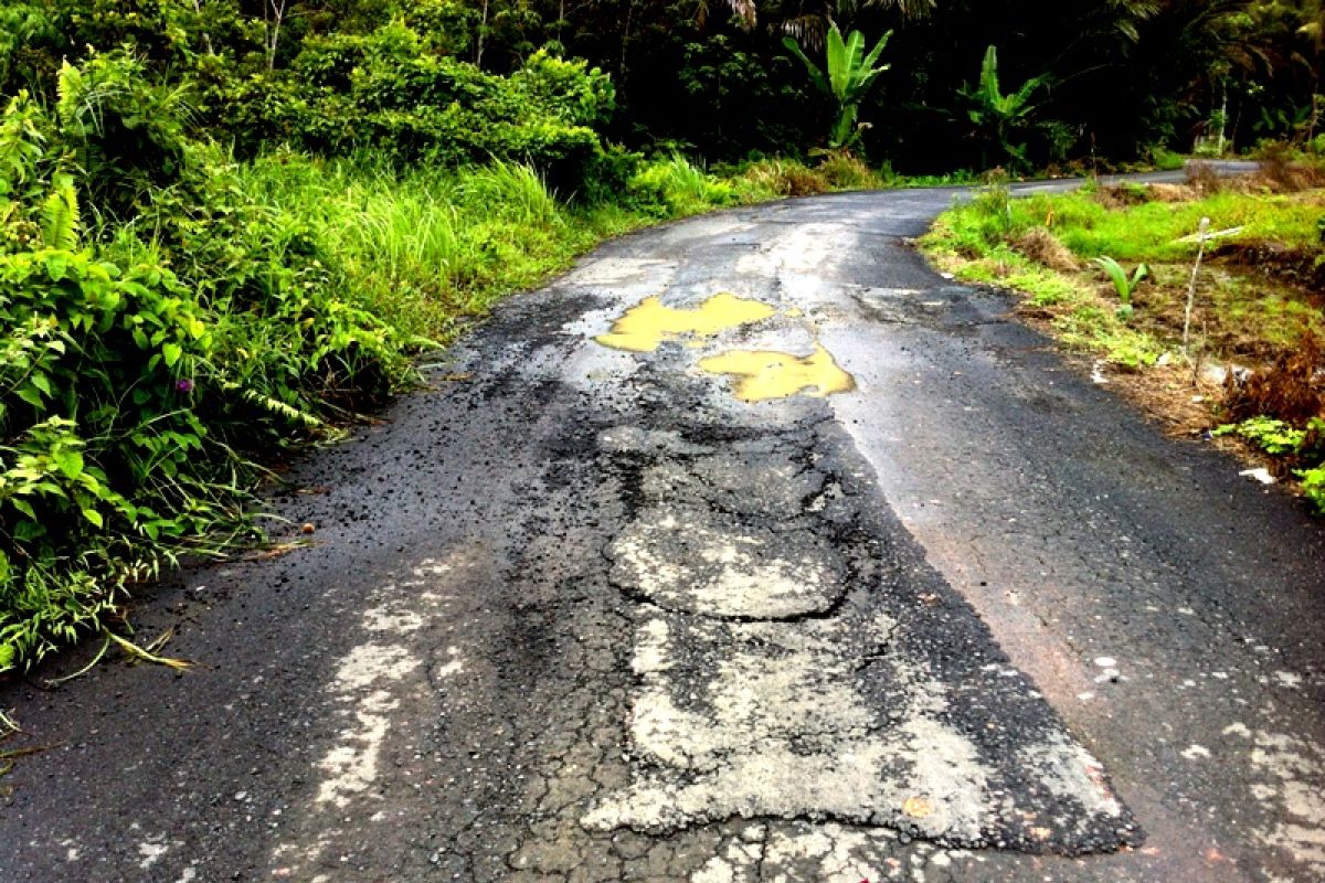 Pemprov Kalsel diminta perbaiki jalan ke Bajuin