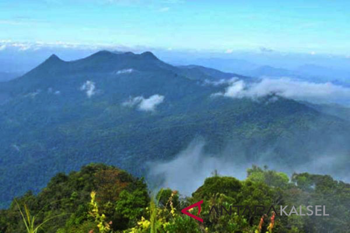 Mapala from across Indonesia explore Mt Meratus