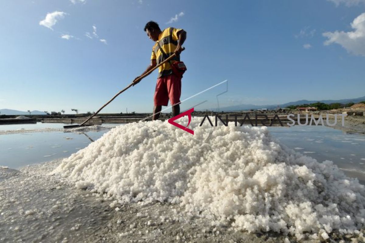 Impor garam kembali jadi pilihan