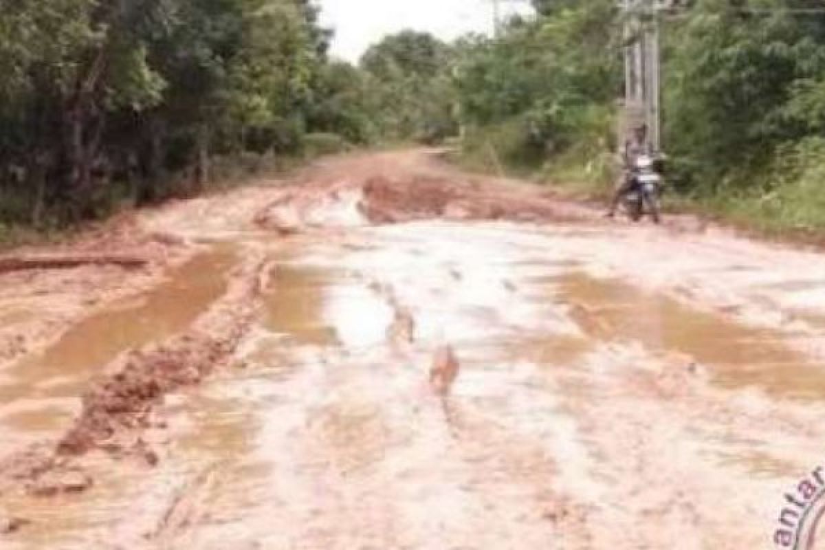 Jalan Kampung Temusai Bungaraya Semakin Memprihatinkan, Apalagi Kalau Hujan Datang