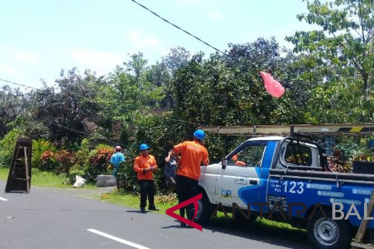 Seorang warga Jembrana luka tertimpa kabel listrik