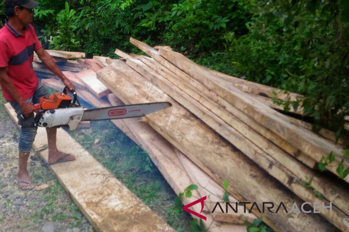 Polisi Sabang diminta tindak pelaku perambahan hutan