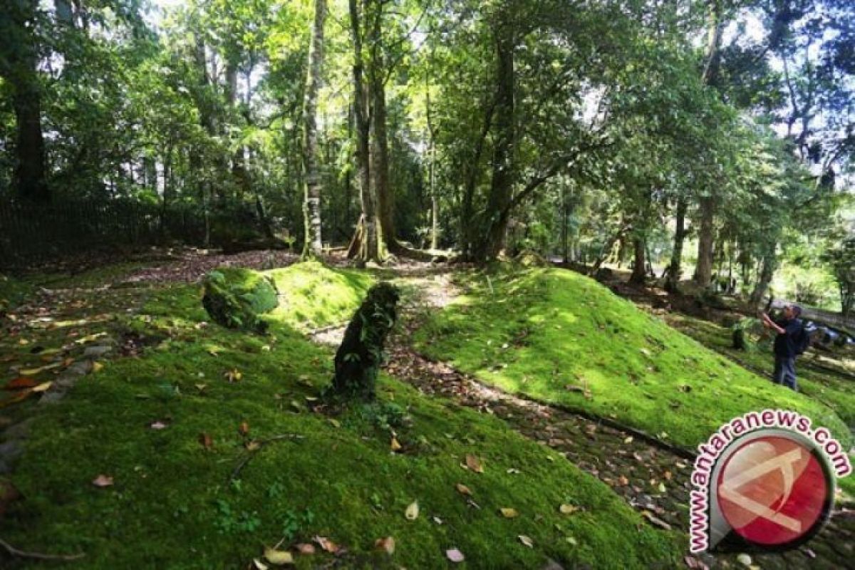 Kebun raya Sigi berfungsi untuk pariwisata