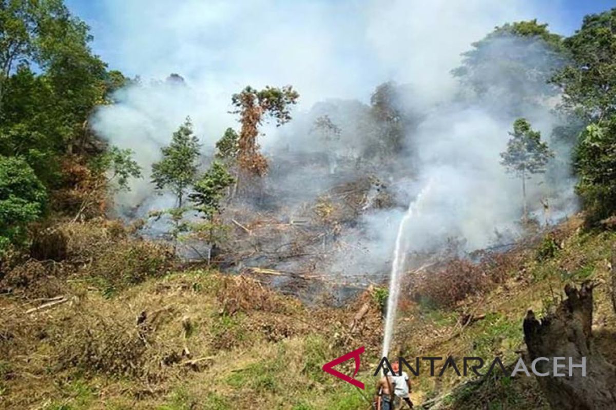 BPBD padamkan api di Gunung Abdya