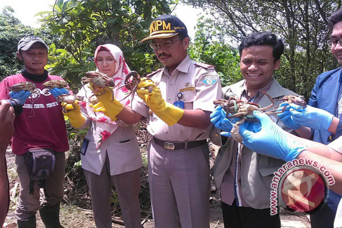 Karantina Yogyakarta lepasliarkan 118 kepiting