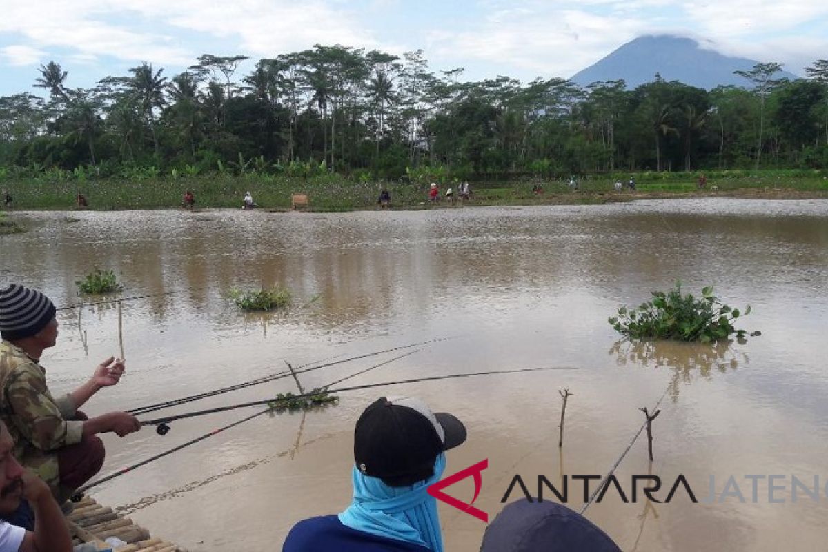 Kembangkan desa wisata, Temanggung anggarkan Rp2,05 miliar