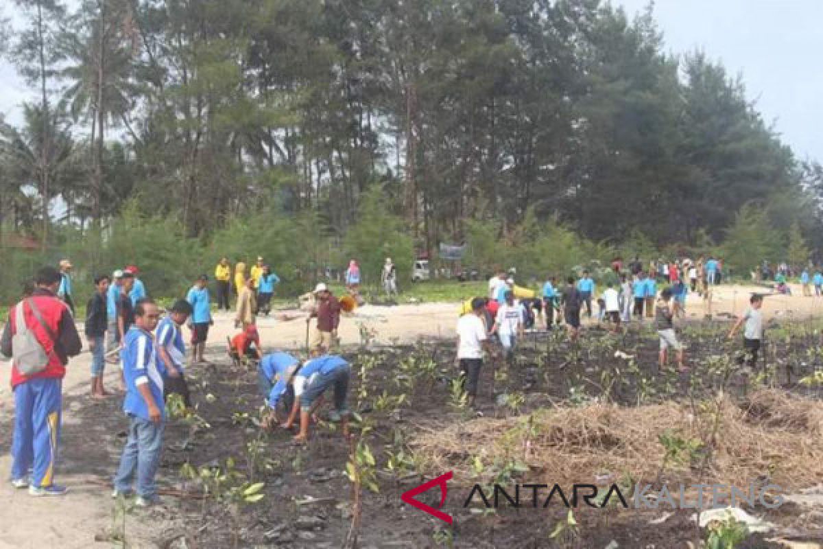 Seruyan Galakkan Tanam Mangrove Cegah Abrasi Pantai