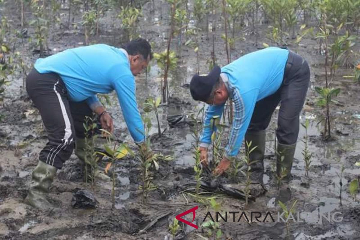 Abrasi di Pesisir Sukamara  masalah serius