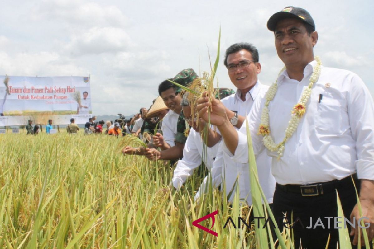 Mentan: Pemerintah tak inginkan petani alami kerugian