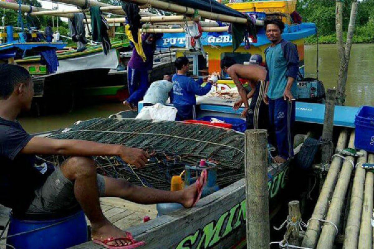 Hasil tangkapan nelayan Lampung Timur melimpah