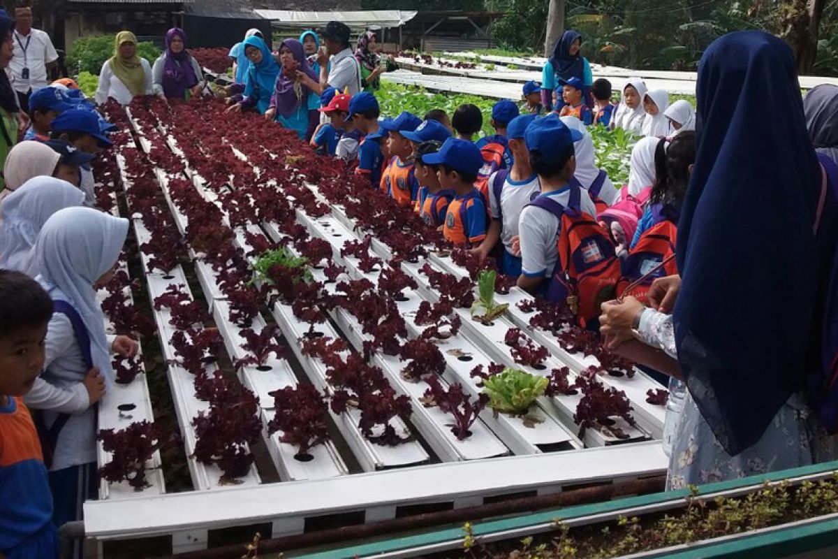 UMKM kunci pengembangan obyek wisata "fisherism"