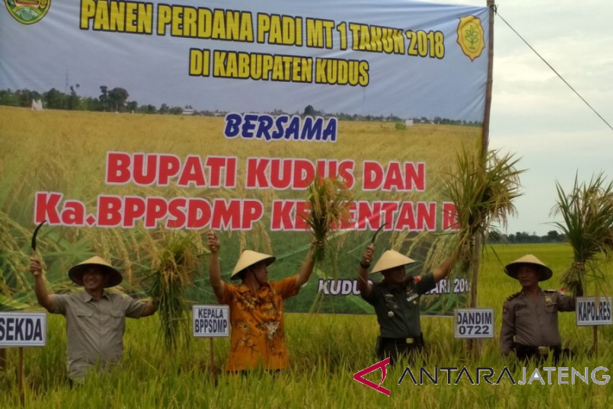 Kementan: impor beras belum dibutuhkan