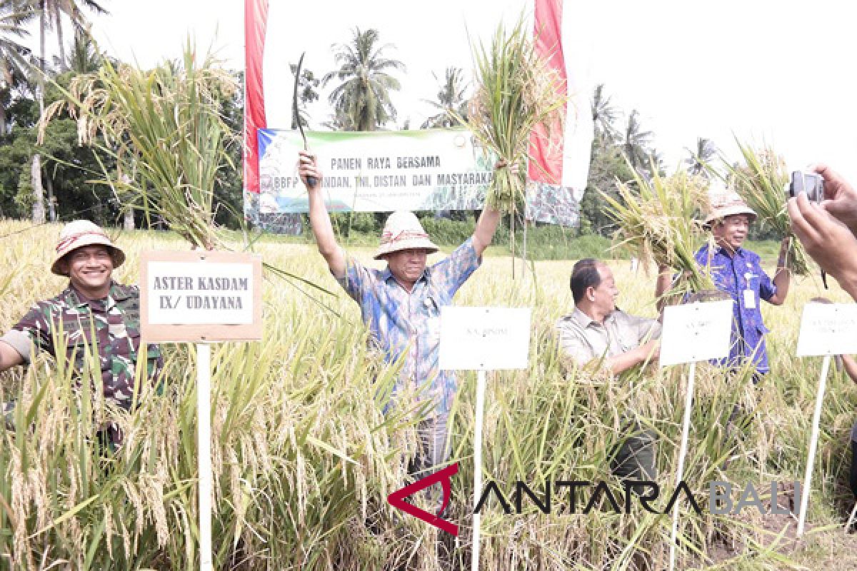 Tabanan mulai panen raya