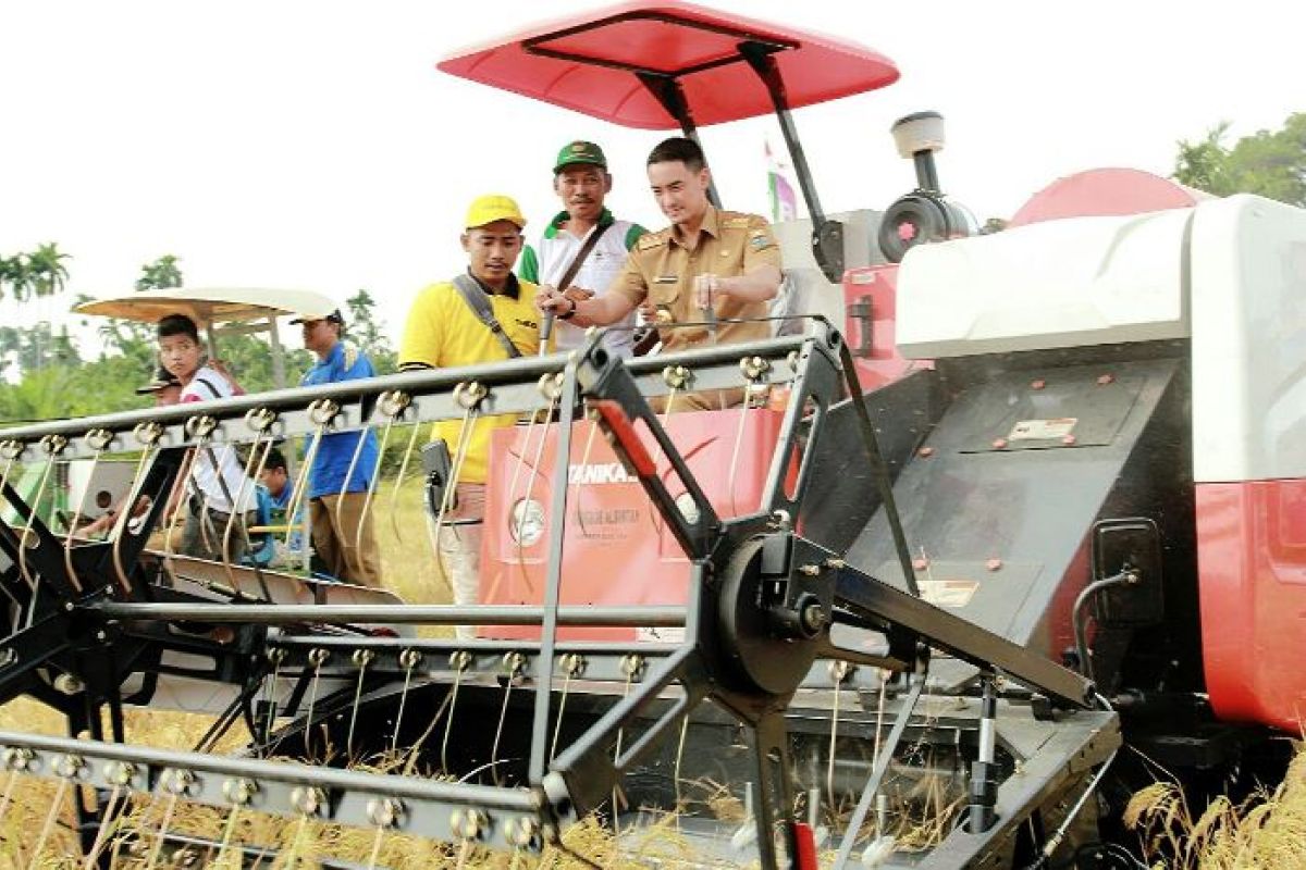 Tebo panen raya padi 58.887 ton